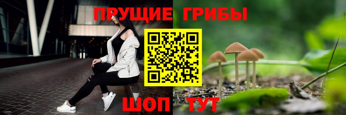 Псилоцибиновые грибы мухоморы Кандалакша